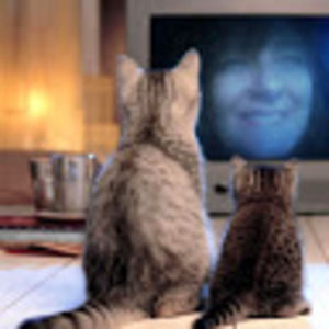 Meet your Posher, Patty